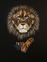 Canvas leeuw